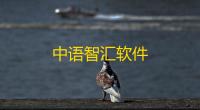 中语智汇软件